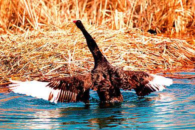 港服PlayStation Plus会员限时75折优惠 仅限新用户