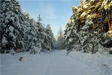 传闻：《彩虹六号：围攻》将推出士官长联动皮肤